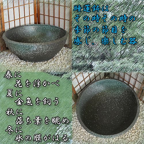 信楽焼の睡蓮鉢