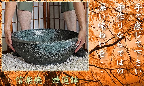 信楽焼の睡蓮鉢
