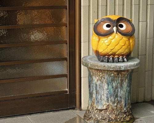 ポイント3倍]信楽焼 フクロウ 置物 黄 9号 ふくろう 梟 おしゃれ 北欧