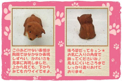信楽焼の犬