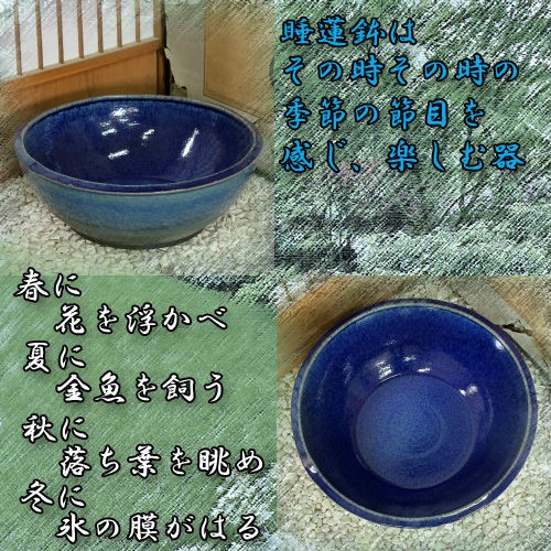 信楽焼の睡蓮鉢