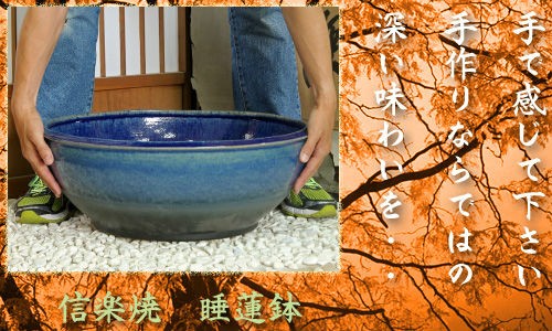 信楽焼の睡蓮鉢