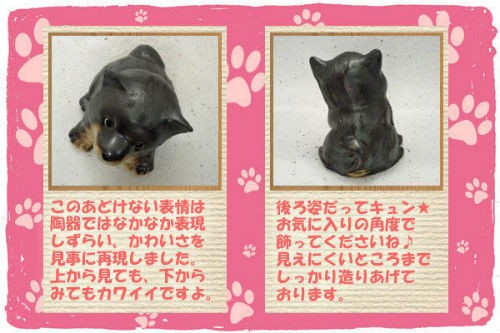 信楽焼の犬