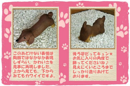 信楽焼の犬