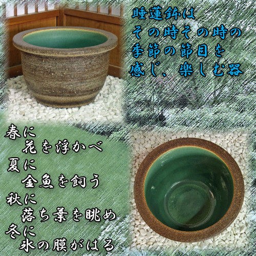 信楽焼の睡蓮鉢