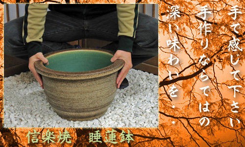 信楽焼の睡蓮鉢