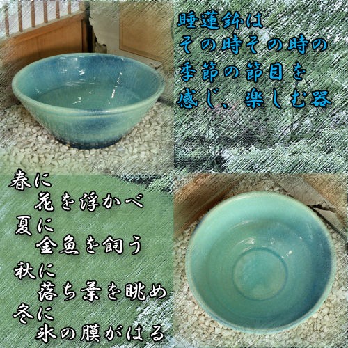 信楽焼の睡蓮鉢
