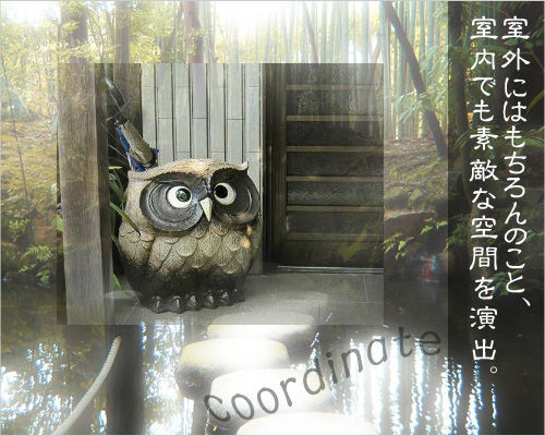 ポイント8倍]信楽焼 陶器 傘立て フクロウ 傘たて ふくろう スリム