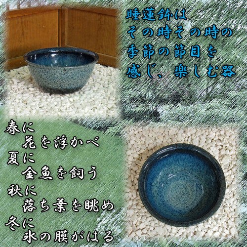 信楽焼の睡蓮鉢