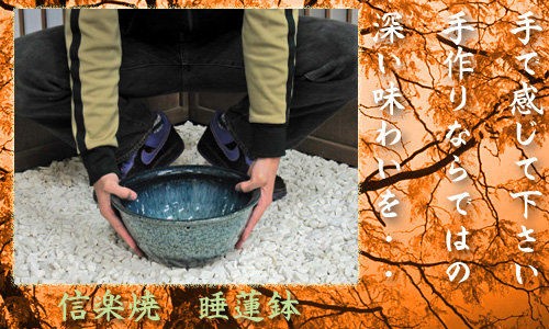 信楽焼の睡蓮鉢