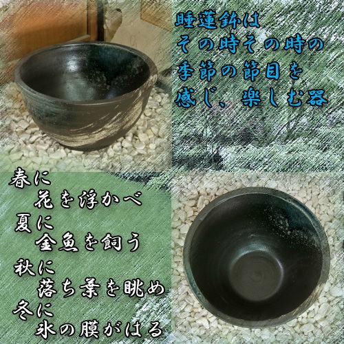 信楽焼の睡蓮鉢
