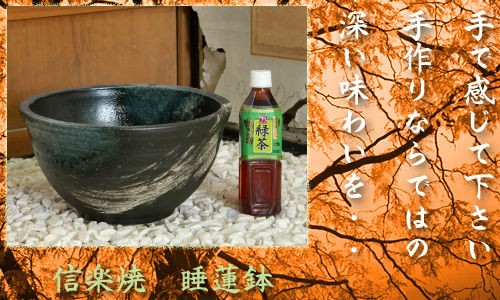 信楽焼の睡蓮鉢