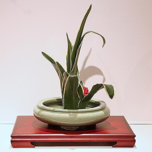 信楽焼生け花用水盤