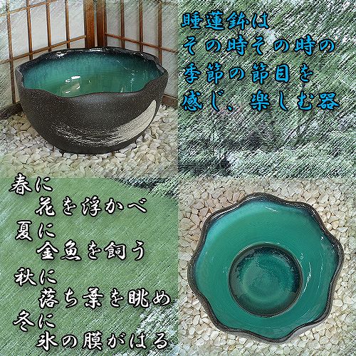 信楽焼の睡蓮鉢