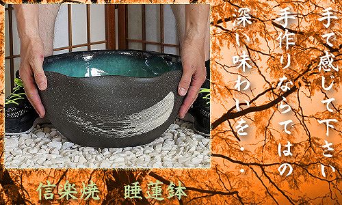 信楽焼の睡蓮鉢