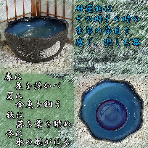 信楽焼の睡蓮鉢