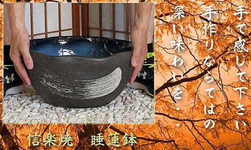 信楽焼の睡蓮鉢