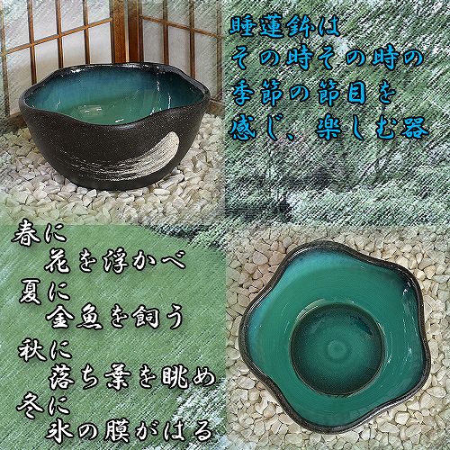 信楽焼の睡蓮鉢