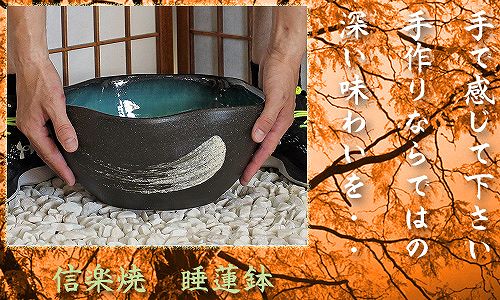 信楽焼の睡蓮鉢