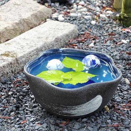 信楽焼の睡蓮鉢