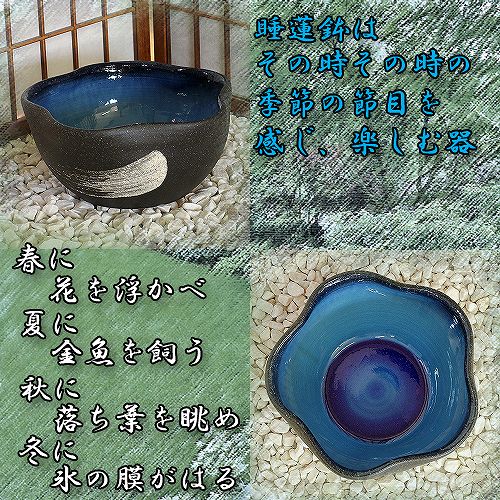 信楽焼の睡蓮鉢