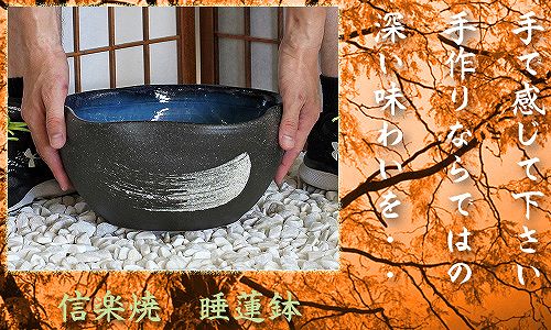 信楽焼の睡蓮鉢