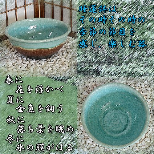 信楽焼の睡蓮鉢