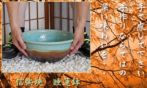 信楽焼の睡蓮鉢
