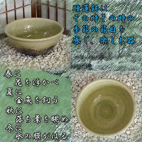 信楽焼の睡蓮鉢