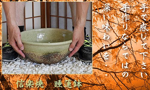 信楽焼の睡蓮鉢