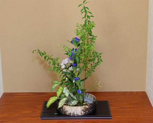 信楽焼生け花用水盤