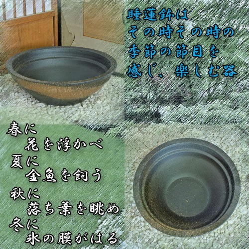 信楽焼の睡蓮鉢