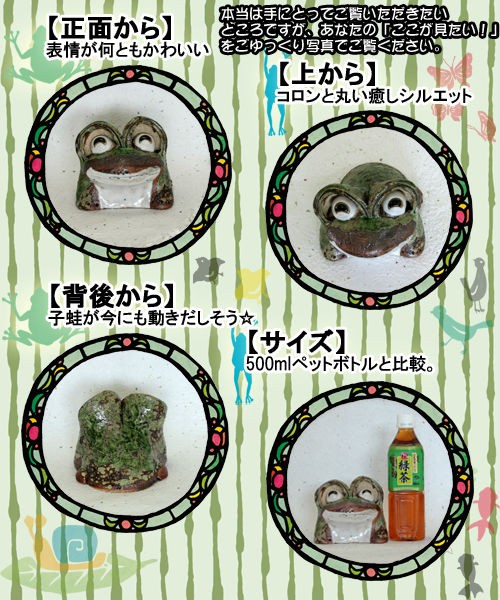 信楽焼 出目カエル(大)の販売｜盆栽妙 – 盆栽妙 本店