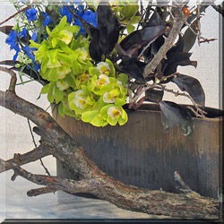 信楽焼の花器