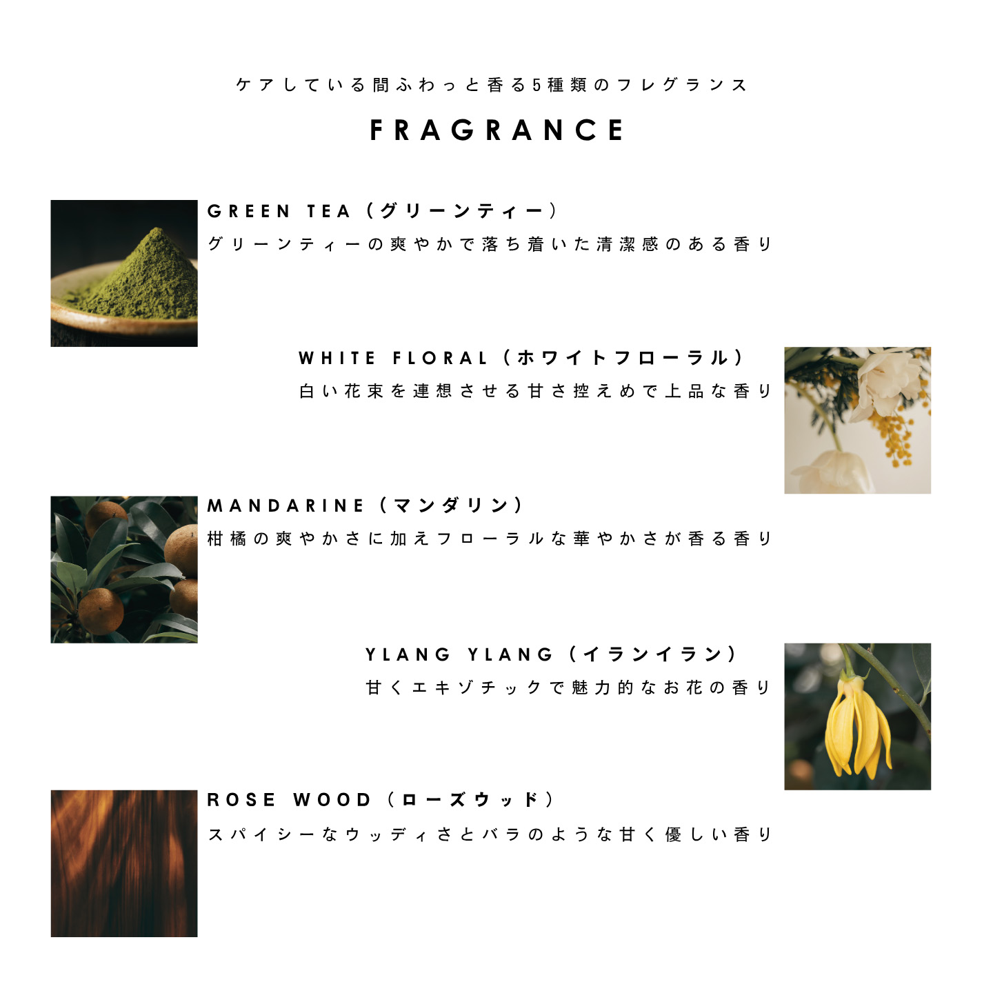 1948 COSMETICS FACTORY. イチキューヨンハチ ネイルオイル 5mL