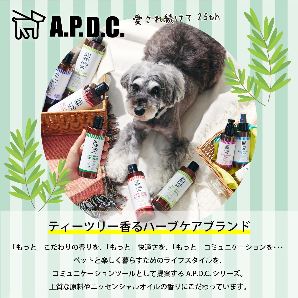 A.P.D.C. APDC デオエチケットスプレー 125ml