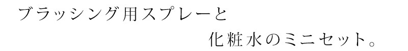 ブラッシング用スプレーと化粧水のミニセットです。