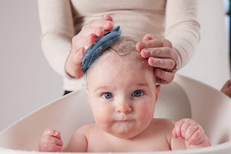 bboxbody ベビーバスブラシ＋スポンジ