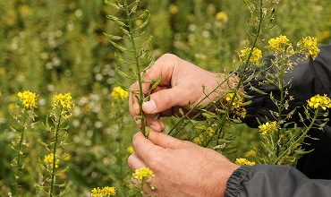 Bioster ビオスター