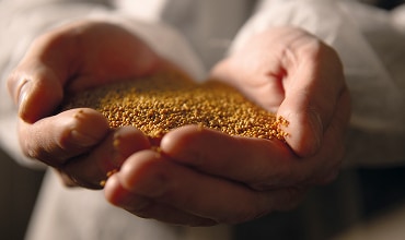 Bioster ビオスター