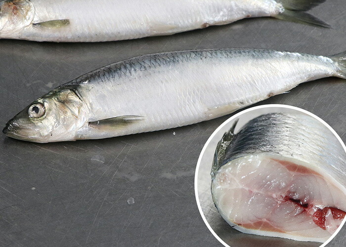 【ムソー】（千葉産直）魚好きのための旬にしん 水煮 170g