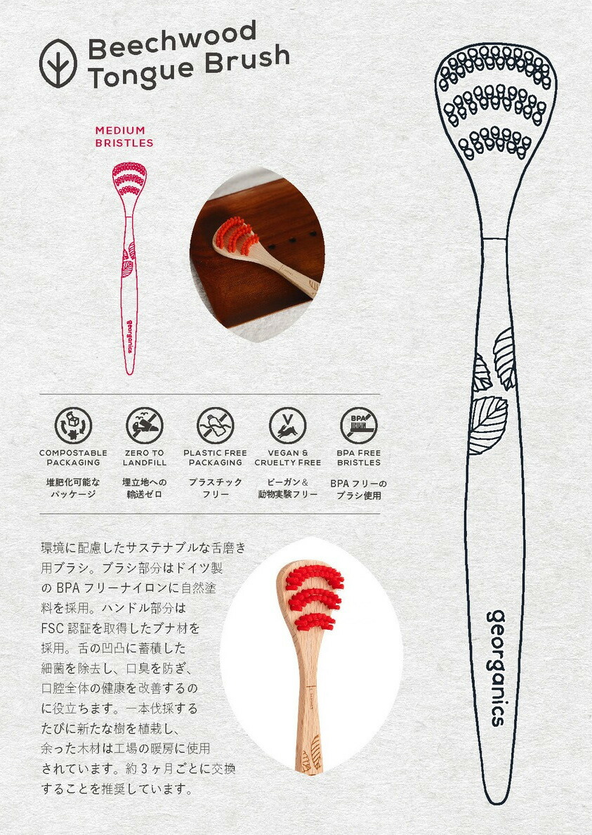 ジーオーガニクス georganics ビーチウッドタンブラシ ミディアム