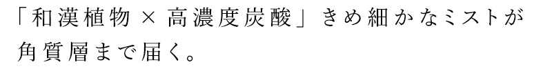 「和漢植物×高濃度炭酸」きめ細やかなミストが角質層まで届く
