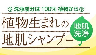 植物生まれの地肌シャンプー