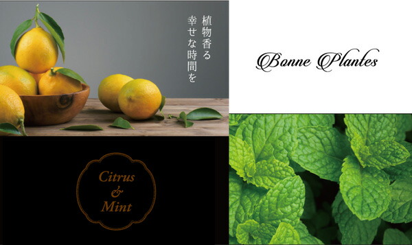 ボンヌプランツ Bonne Plantes スウィーツソーパー ボンヌプランツシリーズ トリートメント シトラス&ミント