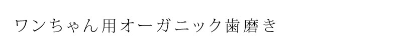 ワンちゃん用歯磨き