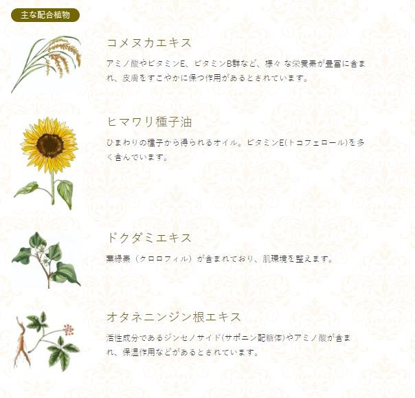 主な配合植物