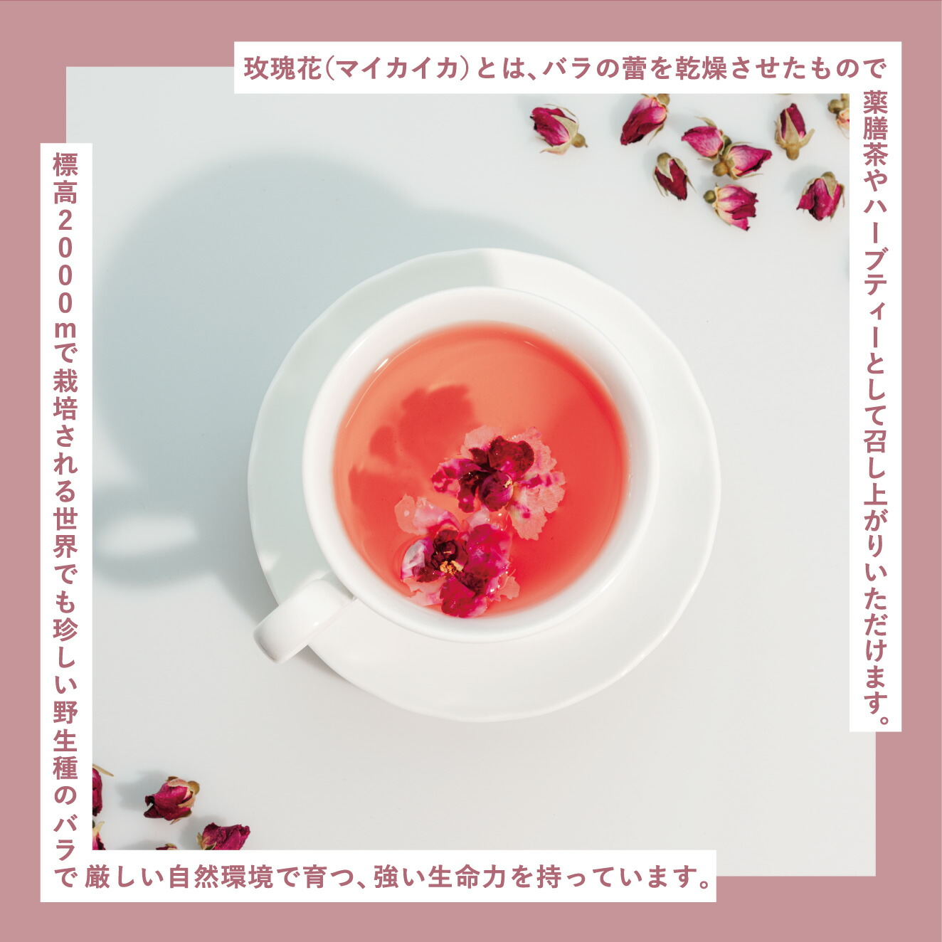 薬膳茶 ハーブティー 