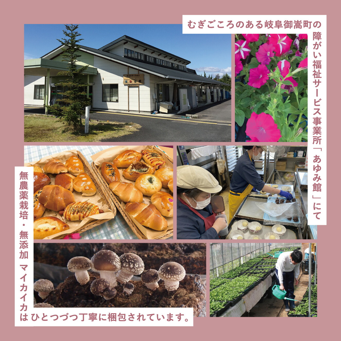むぎごころのオーガニックギー アイクリーム オーガニックギーアイクリーム