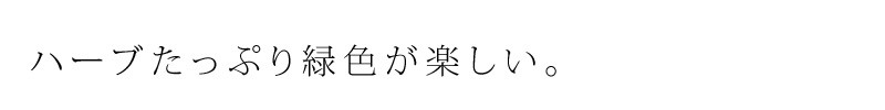 ハーブたっぷり緑色が楽しい。